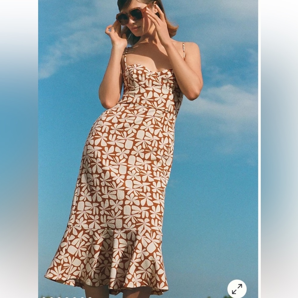 Hutch Brown and White Floral Midi Dress